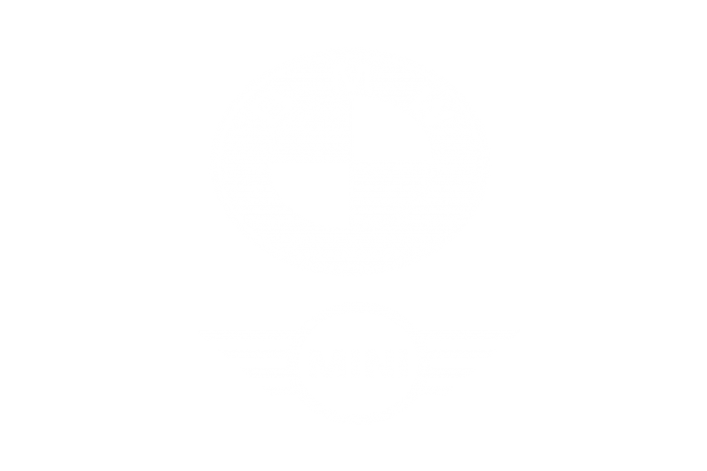 BMW-MNI