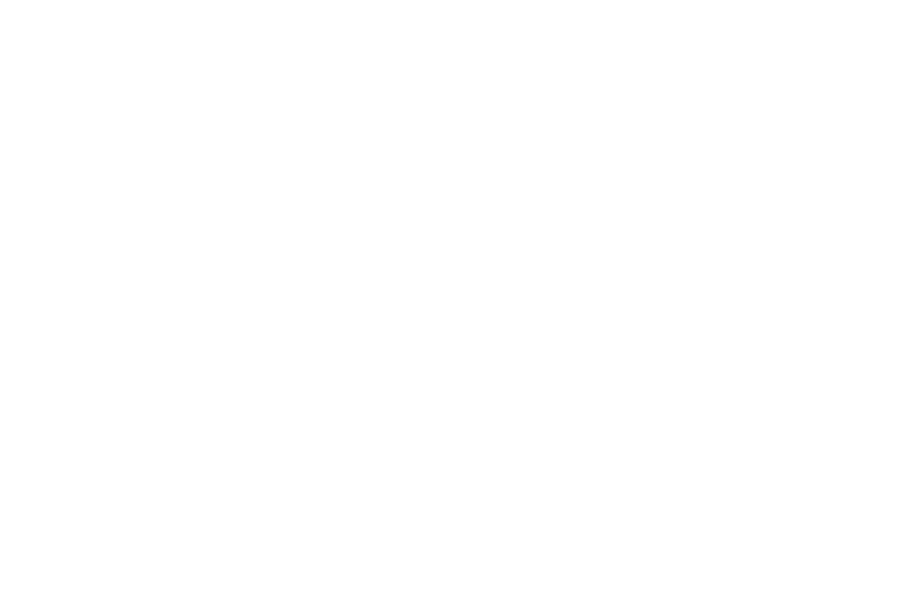 tohapi-1600-474.png